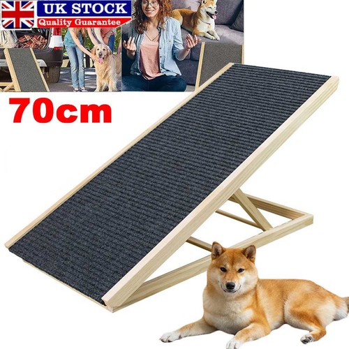 Foldable stairs dog - dog, pet