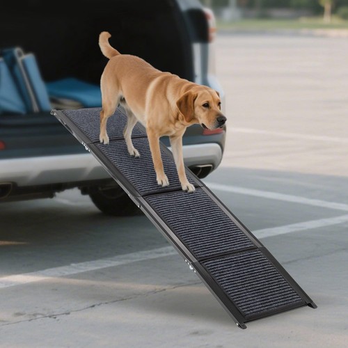 Pawhaven folding dog - pawhaven, ramp