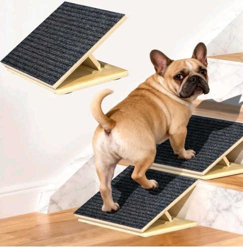 Freestanding dog ramp - freestanding,
