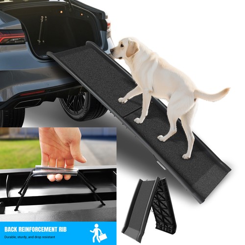 Dog ramp for - for, ramps