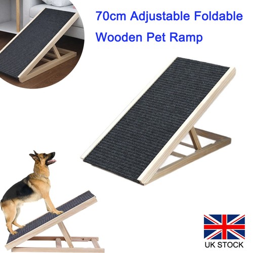 Adjustable heights dog - dog, pet