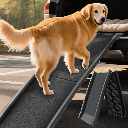 Dog car ramp non - ramp, for