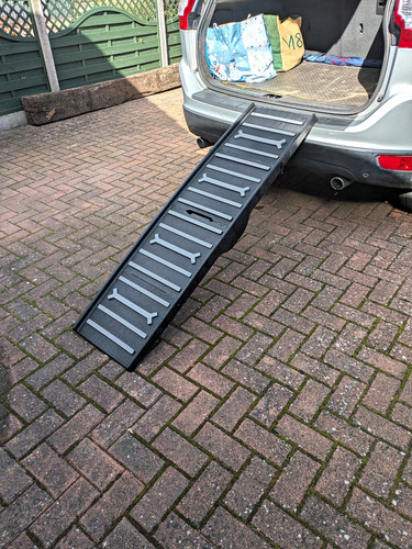Folding plastic dog - dog, ramp