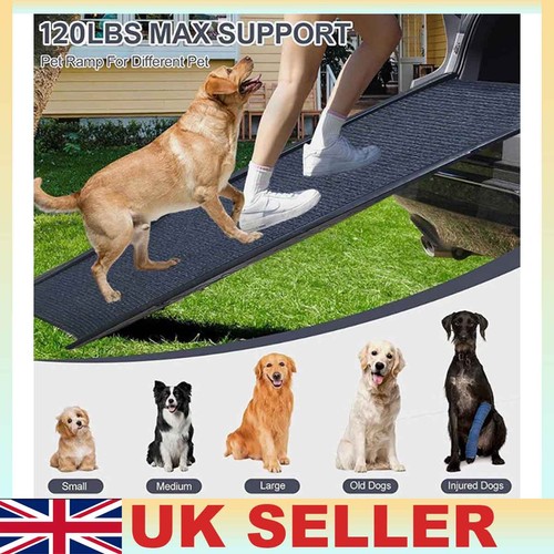Folding portable large dog - large,