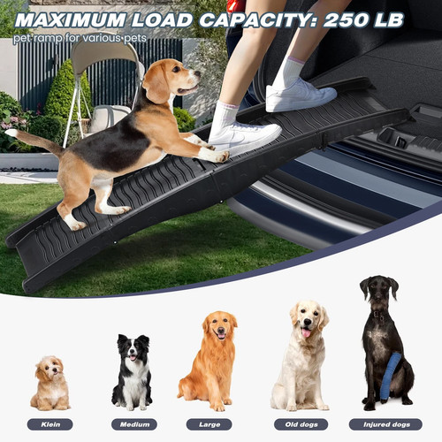 Dog car ramp pet - car,