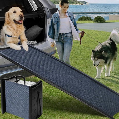 Foldable dog car - foldable,