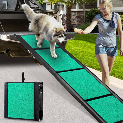 180cm large dog - large,