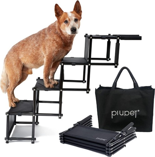 Dog ramp for car - dog, step
