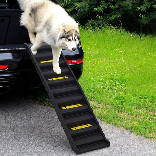 Dog pet ramp strong - ramp, plastic