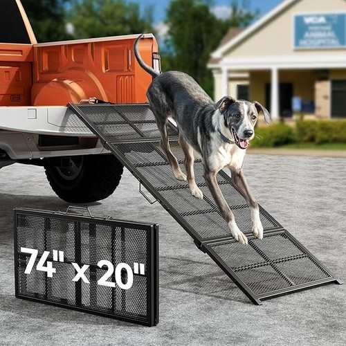 The 190cm longest - 190cm, dog