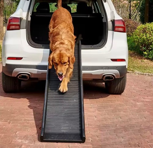 Dog pet ramp - plastic, folding