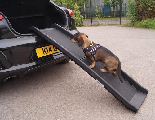 Dog pet ramp car vehicle - ramp,