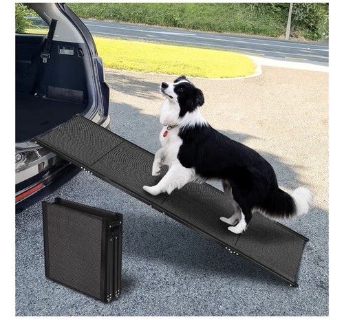 Folding dog ramp - for, car