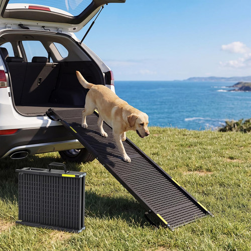 Foldable dog ramp portable - foldable,