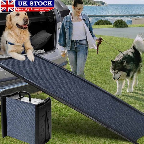 Large dog pet - large, strong