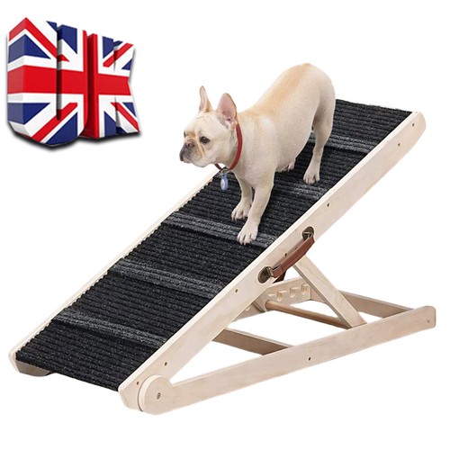 Adjustable heights dog - dog, pet