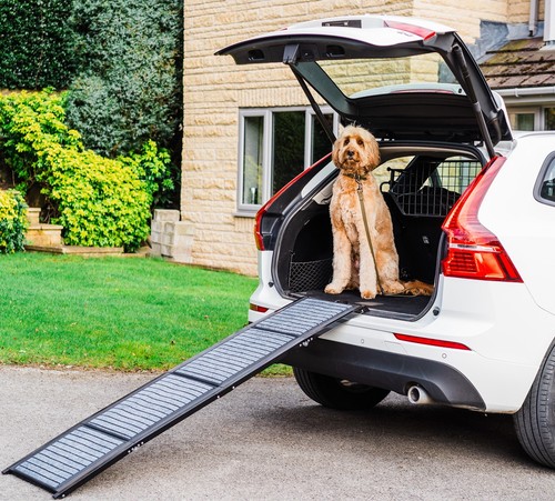 Dog ramps for cars pet - dog, steps