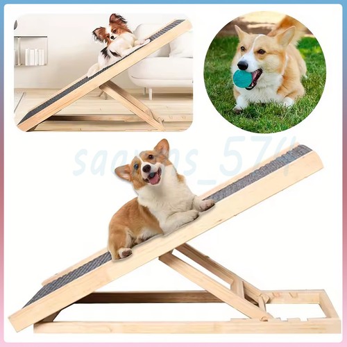 Adjustable heights dog - heights, pet