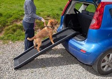 Dog Pet Ramp Plastic Folding