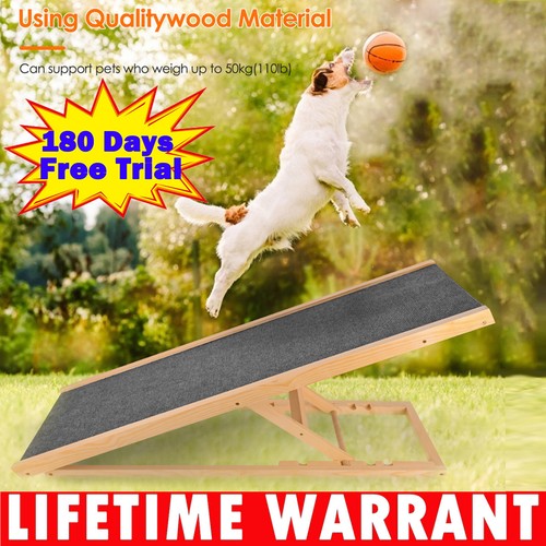 Dog pet ramp plastic - dog, folding